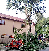 Manufaktura - projekt